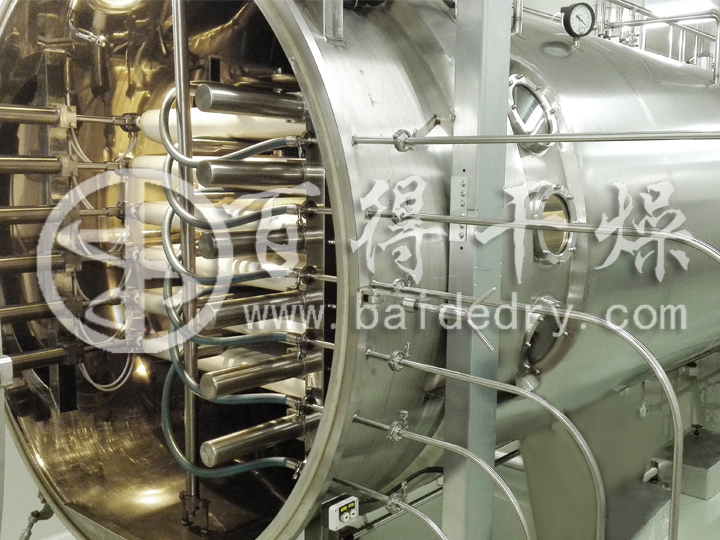 VBD型低温真空带式干燥机