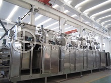 中药丸剂网带式干燥机新工艺设计及运用